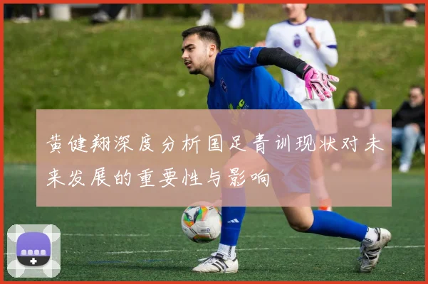 黄健翔深度分析国足青训现状对未来发展的重要性与影响