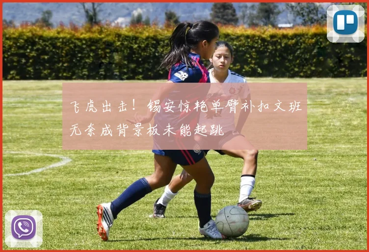 飞虎出击！锡安惊艳单臂补扣文班无奈成背景板未能起跳