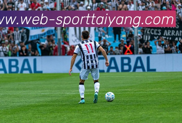 太阳城平台生态图